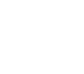Logo Fundação Cesp